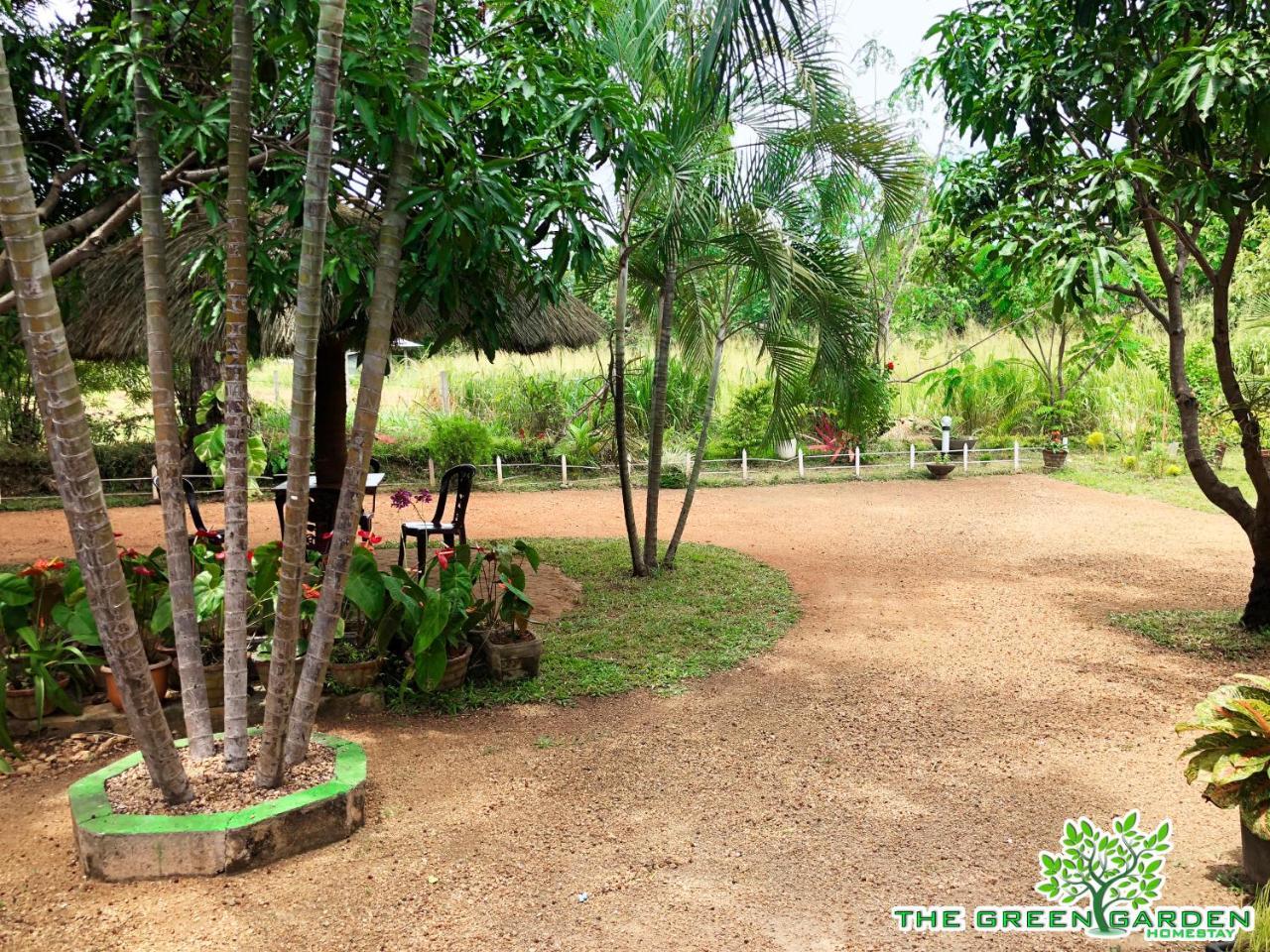 The Green Garden Dambulla Exterior photo