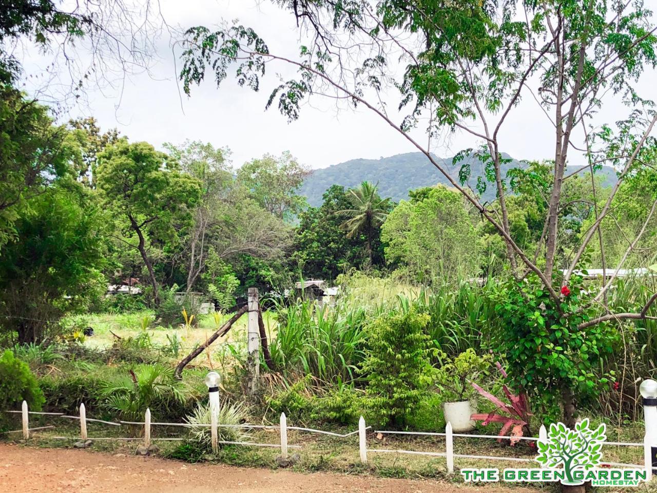 The Green Garden Dambulla Exterior photo